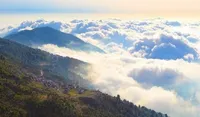ویدئو| تصویر بی نظیر از جنگل درازنو گلستان
