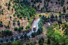 زراعت چوب در ۴۵۰ هکتار از زمین&zwnj;های ملی خراسان رضوی
