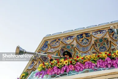 تعویض پرچم گنبد و پوش ضریح امام رضا(ع)