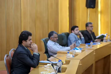 نخستین پیش‌نشست پنجمین کنگره جهانی امام رضا (ع)