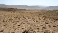رشد سریع کانون‌های فرسایش بادی در خراسان رضوی