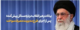 &nbsp;اگر سران سه قوه تصمیم بگیرند من حمایت میکنم