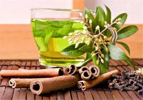 تدابیر طب ایرانی برای کاهش آسیب&zwnj;های ناشی از دخانیات
