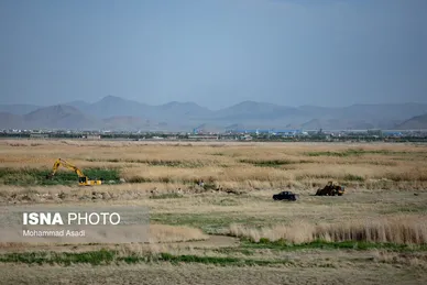 گزارش تصویری | آتش‌سوزی در تالاب میقان - اراک