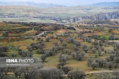 ایران زیباست | زمستان بَهاری در فارس
