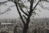 افزایش آلودگی هوا در مشهد | شاخص به ۱۲۰ رسید و برخی مناطق در وضعیت هشدار (یکشنبه، ۱۸ آبان ۱۴۰۴)