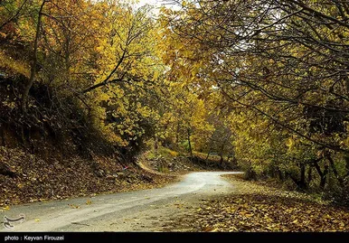 ایران زیباست | پاییز رنگارنگ کردستان