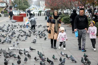 کبوترهای میدان شهرداری