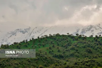ایران زیباست | طبیعت بهاری چهارمحال و بختیاری