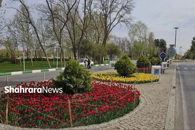 گل‌ آرایی بهاری در بهشت رضا(ع)