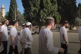 رقص و پایکوبی صهیونیست&zwnj;ها در مسجد الاقصی + فیلم (۵ خرداد ۱۴۰۴)
