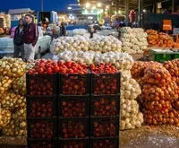 قیمت امروز انواع میوه و صیفی جات در مشهد (یکم آبان ۱۴۰۳) | سیب زمینی و پیاز را بیشتر از این قیمت‌ها نخرید