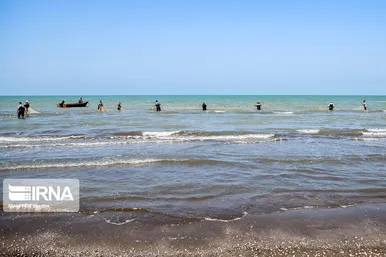 فصل صید ماهی استخوانی در شمال