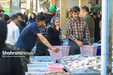 گزارش تصویری |  بازار ماهی فروشان در شهرک عرب‌های مشهد