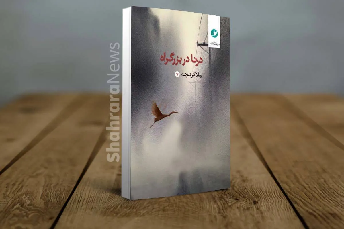 «درنا در بزرگراه» منتشر شد | تازه‌ترین مجموعه شعر لیلا کردبچه
