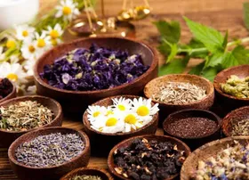 دارو&zwnj;های گیاهی را خودسرانه مصرف نکنید