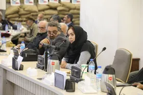 زن تمدن&zwnj;ساز الگوی رفتاری دستگاه&zwnj;های اجرایی