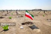 کاشت ۱۰۰۰ اصله درخت در بوستان کرامت مشهد به‌مناسبت روز درخت‌کاری ۱۴۰۴