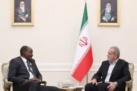 دیدار معاون رئیس جمهور زیمباوه با دکتر پزشکیان