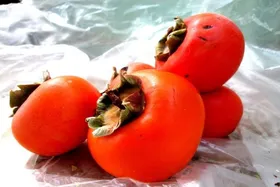 اینفوگرافی| خواص و مضرات خرمالو