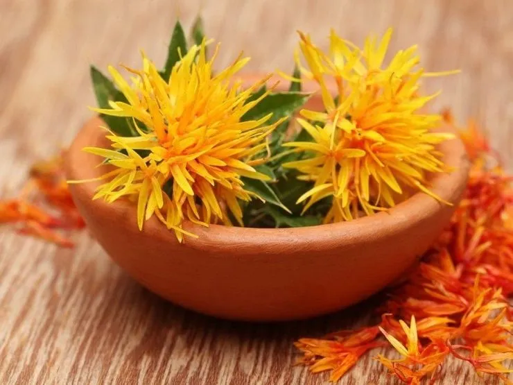 خواص گلرنگ برای کودکان چیست؟