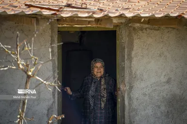 ایران زیباست | مَرال در خانه