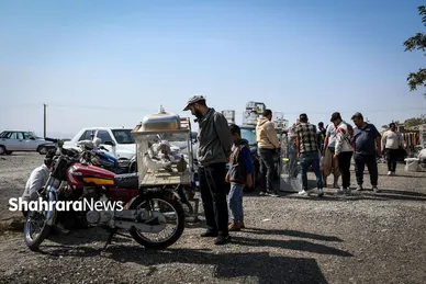 عکس‌هایی از جمعه‌بازار پرنده‌فروشان در شمال شرق مشهد
