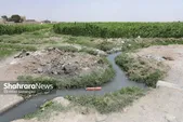 رئیس کمیسیون خدمات شهری شورای اسلامی شهر مشهد: دستگاه‌های دولتی به تعهداتشان در قبال تصفیه‌خانه سپتاژ عمل کنند