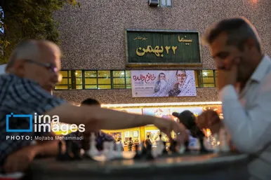 گزارش تصویری | شطرنج بازان سبزه میدان