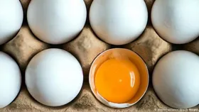 مردم نگران تأمین تخم&zwnj;مرغ برای شب عید نباشند