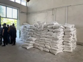 رئیس سازمان جهاد کشاورزی خراسان رضوی: بیش از ۴ هزار تن آرد مازاد بر سهمیه در استان توزیع شد