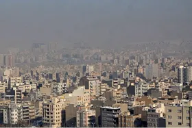 ویدئو| چه نوشیدنی&zwnj;هایی در زمان آلودگی هوا برای تقویت بدن مناسب است؟