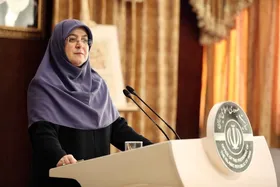 سخنگوی دولت: متوجه تلاطم&zwnj;های بازار هستیم | وزیر امور خارجه با نظر شخصی خود کاری را انجام نمی&zwnj;دهد