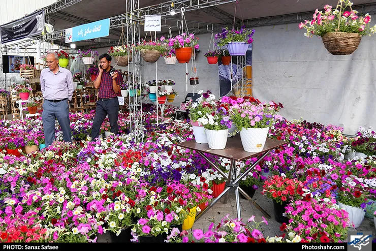 برگزاری دو نمایشگاه گل و گیاه فصلی در بوستان‌های بزرگ شهر