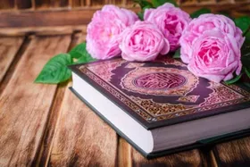 مرحله استانی هفدهمین دوره مسابقات قرآنی &laquo;مدهامتان&raquo; برگزار می&zwnj;شود