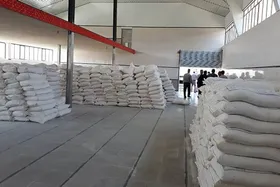 تخلف خروج بیش از ۲ هزار کیسه آرد از شبکه پخت نان در مشهد