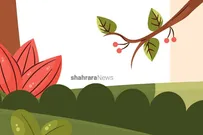 یادداشت کودک | درخت‌ها را فراموش نکن