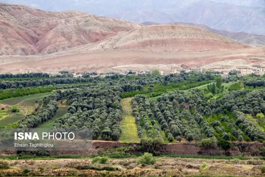 ایران زیباست | طبیعت بهاری «طارُم»، هندوستان ایران
