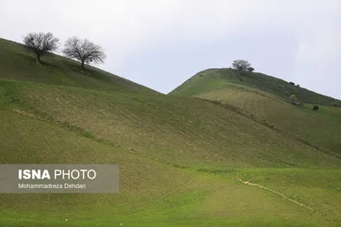 ایران زیباست | زمستان بَهاری در فارس