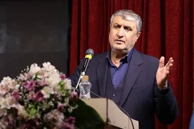 اسلامی: هماهنگی&zwnj;ها با آژانس انرژی اتمی رو به پیشرفت است