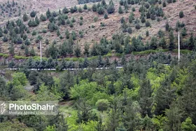 رویکرد اقتصادی در پروژه کوه&zwnj;پارک مشهد وجود ندارد