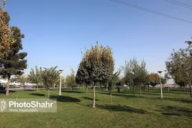 معاون شهردار مشهد: نگرانی برای تامین آب فضای سبز مشهد نداریم