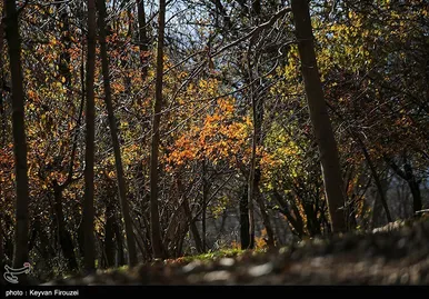 ایران زیباست | پاییز رنگارنگ کردستان