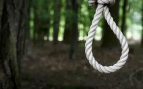 ورود مجلس به موضوع خودکشی دانش&zwnj;آموز بوشهری