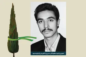 تو نیامدی، اما یک شهر شیرینی برگشتنت را خورد