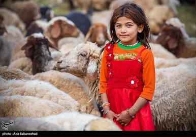 عبور عشایر از خرم آباد