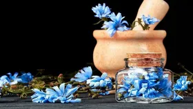 عرق کاسنی چه خواصی دارد؟