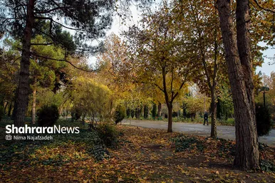 طبیعت پاییزی بوستان های مشهد