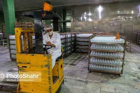 برخی کارخانجات با ۵۰ درصد ظرفیت کار می&zwnj;کنند | تأسیس ۲۰ بانک خصوصی طی دو دهه اخیر