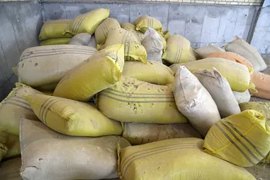 معدوم سازی چهار تن ناس و تنباکو